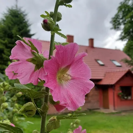 Labadkowo Vakantieboerderij
