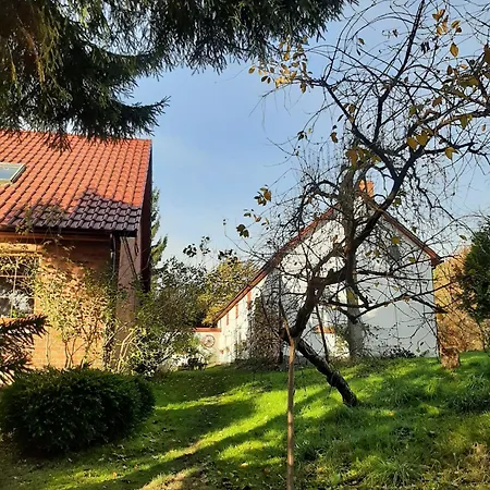 Labadkowo Farm stay