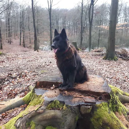 Labadkowo Vakantieboerderij Labedzie