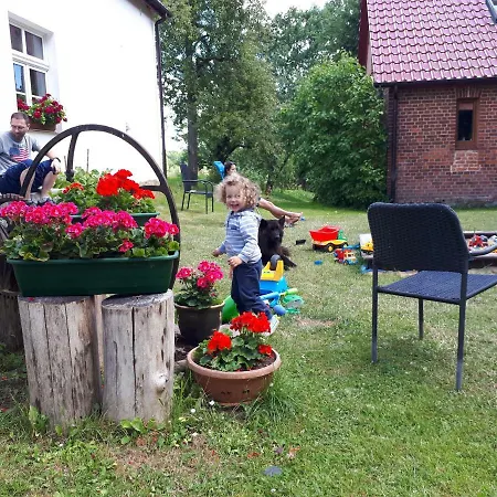 Labadkowo Labedzie
