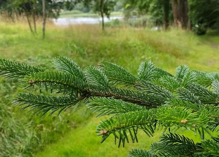 Labadkowo Agroturismo *