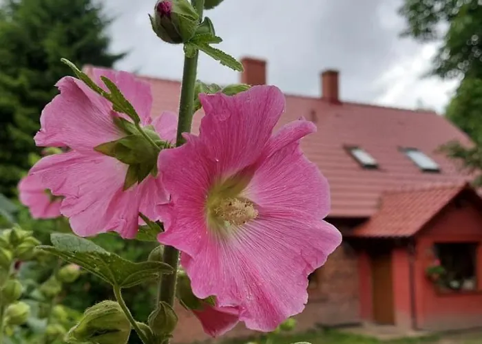 Labadkowo Agroturismo