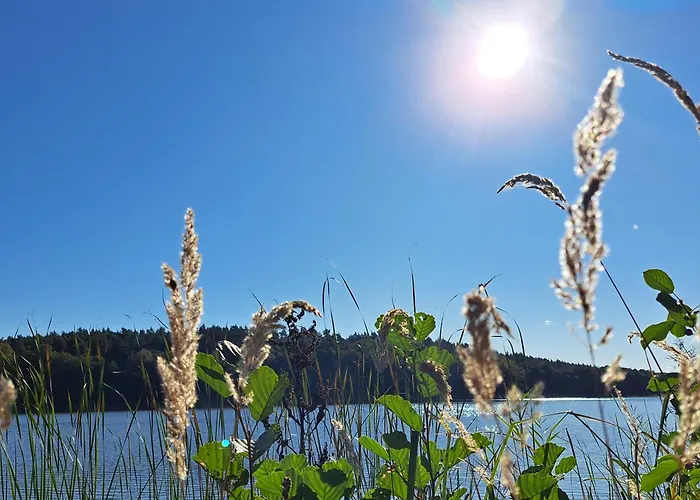 Agroturismo Labadkowo *