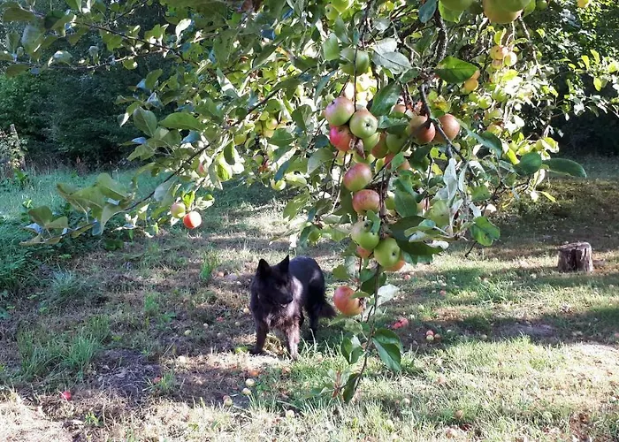 Labadkowo Agroturismo