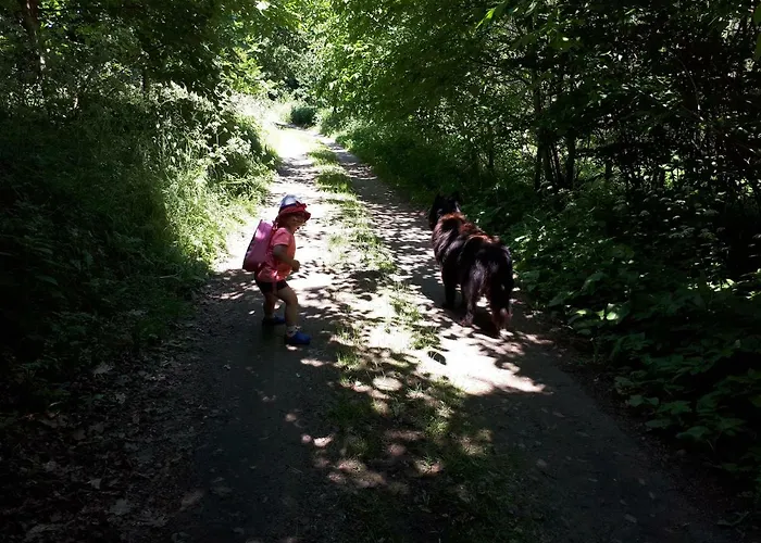 Labadkowo Agroturismo Labedzie