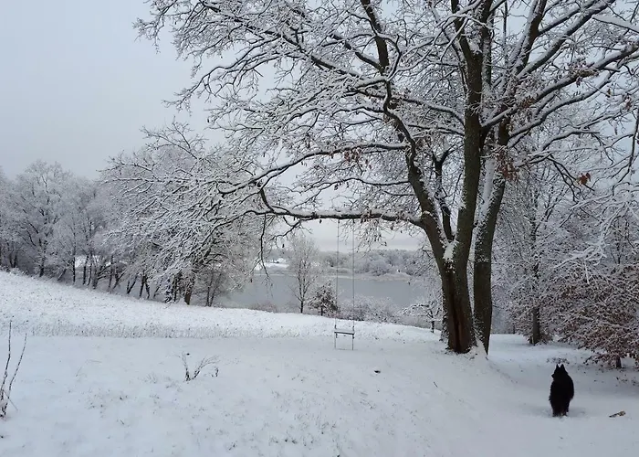 Labadkowo Agroturismo Labedzie